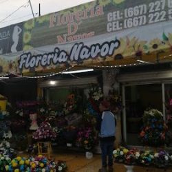 Floreria D'navor