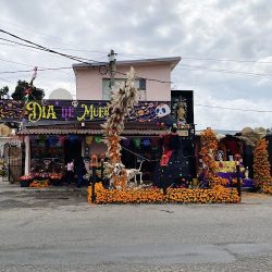 Florería D'nicole