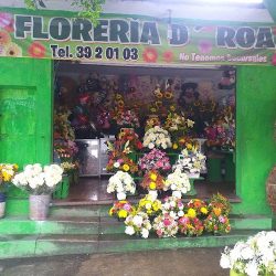 Floreria D' Roa