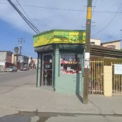 Floreria D'rosas