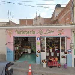 Floreria D'rubi
