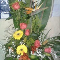 Floreria D'sofia