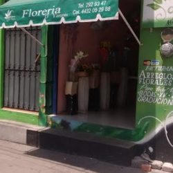 Florería D'yannis