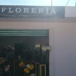 Florería Dafne ✨💐