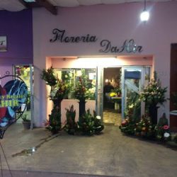 Florería Dahir