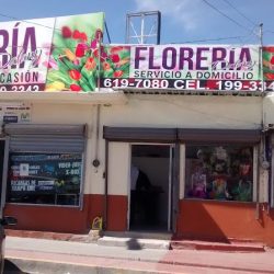 Florería Dalany