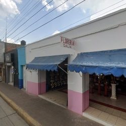 Floreria "dalia"