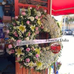 Floreria Dalia