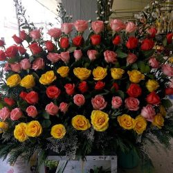 Florería Dalia
