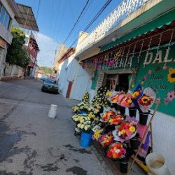Florería Dalín Teloloapan Guerrero