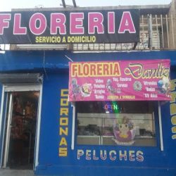 Floreria Danliz