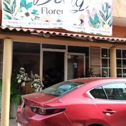 Floreria Dany