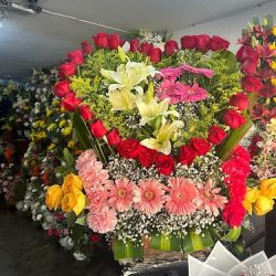 Florería Dany