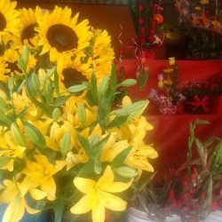 Florería Dávila