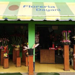 FlorerÍa Dayani