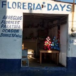 Florería Daysi