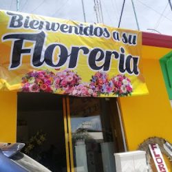 Floreria De Asis