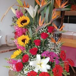 Florería De Brenda
