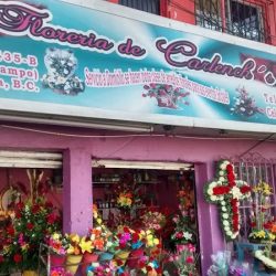 Floreria De Carlench's