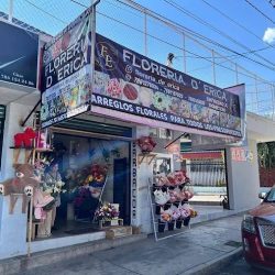 Floreria De Erica