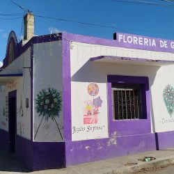 Florería De Guadalupe