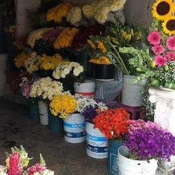Florería De Jesús