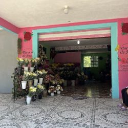 "floreria De Jesus"