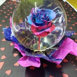 Floreria De La O