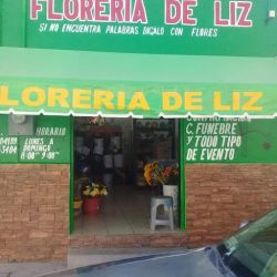 Floreria De Liz