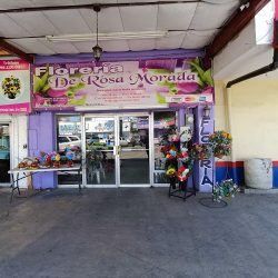 Florería De Rosa Morada