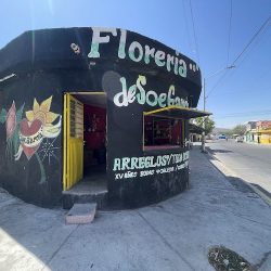 Floreria De Soe Garcia