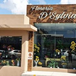 Floreria De Sylvia