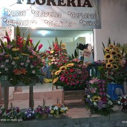 Florería Decoflor