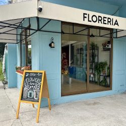 Florería Decora Bambú
