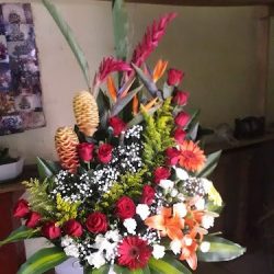 Florería "degollado"