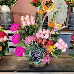 Floreria Del Angel
