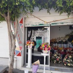 Florería Del Carmen
