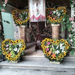 Floreria Del Carmen