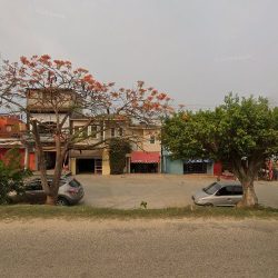 Floreria Del Carmen