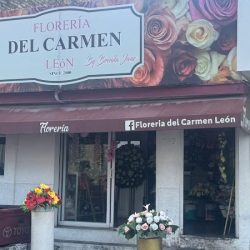 Florería Del Carmen Del Leon