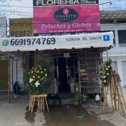 Florería Del Conchi Josabeth