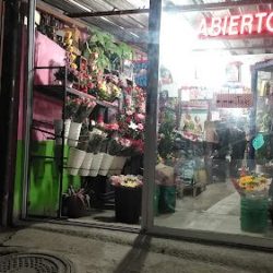 Florería Del Pacífico