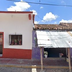 Floreria Del "parahizo"