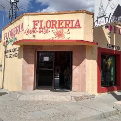 Florería Del Rio