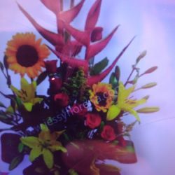 Florería Del Rosario