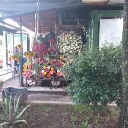 Florería Del Sol