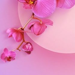 FlorerÍa Del Valle