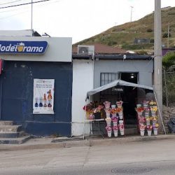 Floreria Detalles Florales