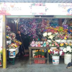 Florería Di Mauri