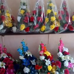 FlorerÍa Diana